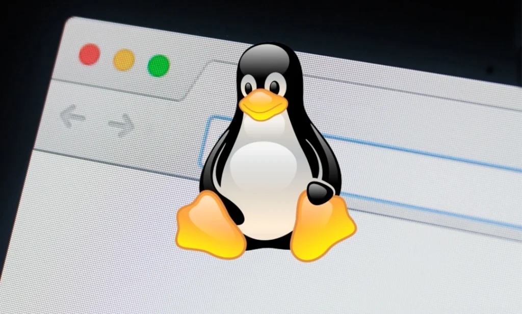 Best Lightweight Browsers for Linux